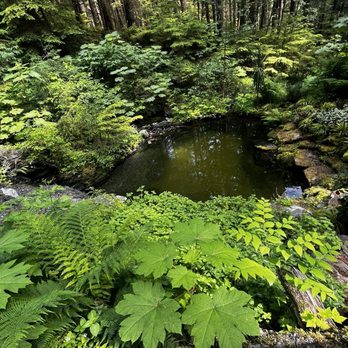 Glacier Gardens Rainforest Adventure - heart pond! - Botanical Gardens Near Me - Juneau, Alaska