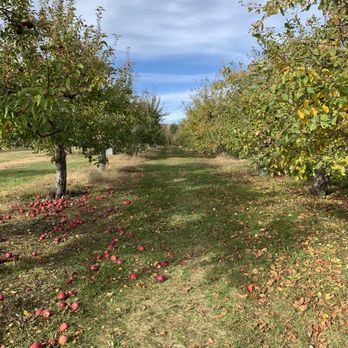 Hilltop Orchards - Wine Tasting Room Near Me - Richmond, Massachusetts Hilltop Orchards - Wine Tasting Room Near Me - Richmond, Massachusetts