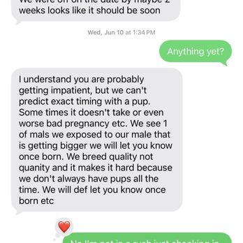 Harvest Moon Malamutes - Pet Breeders Near Me