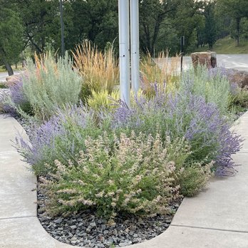 Custer State Park - Visitors Center - Parks Near Me - Custer, South Dakota