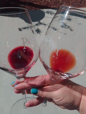 Pasoport Wine Company by null