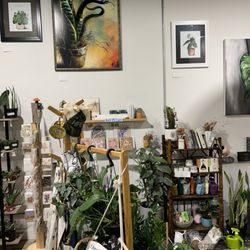 House Plant Collective - Beautiful display of various plants!