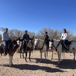 Tombstone Trail Rides with Penny
