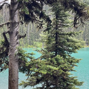 Joffre Lakes Provincial Park - Parks Near Me - Mount Currie, British Columbia