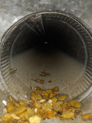 888 I Do Dirt Cleaning Services