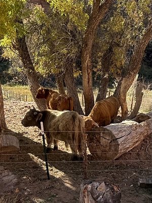 ROAM Outdoor Adventure Co by null