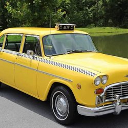 Owl Taxi