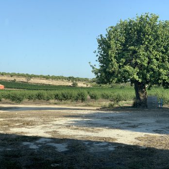 Planeta - Wine Tasting Room Near Me - Palermo, Pennsylvania