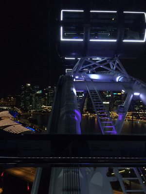 Singapore Flyer by null