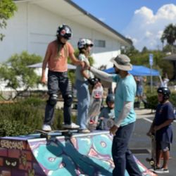 The Sk8 Coach
