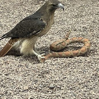 White Mountain Nature Center - Recreation Centers Near Me - Pinetop, Arizona