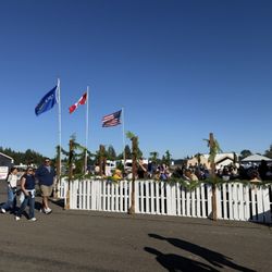 Oyster Festival