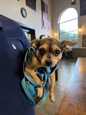 Georgia Beer Co. by null