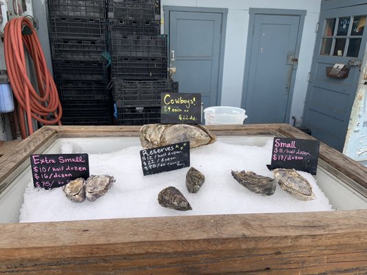 Morro Bay Oyster Company by null