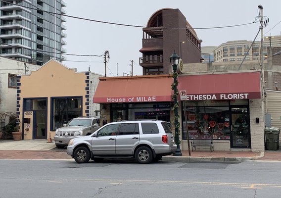 House of MILAE by null