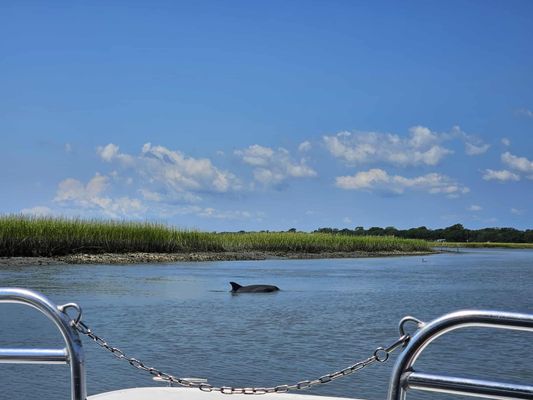 Charleston Outdoor Adventures by null