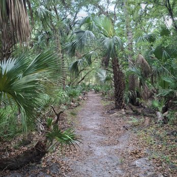 Ken Bosserman Econlockhatchee River Preserve - Hiking Near Me - Orlando, Florida