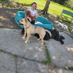 Creature Comforts Pet Resort - Visit our website to learn about our pet resort!