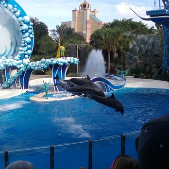 Dolphin Theater - Stadiums & Arenas Near Me - Orlando, Florida