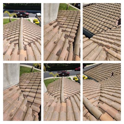 Match Point Roofing