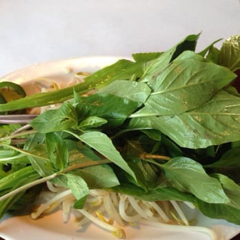 Pho Lu - Herbs - Vietnamese Near Me - Garden Grove, California