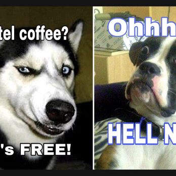 Hampton Inn & Suites Tulare - Hampton Inn Tulare California- Please move your coffee maker out of the bathroom! - Hotels Near Me - Tulare, California