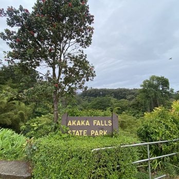 Akaka Falls State Park - Parks Near Me - Honomu, Hawaii Akaka Falls State Park - Parks Near Me - Honomu, Hawaii