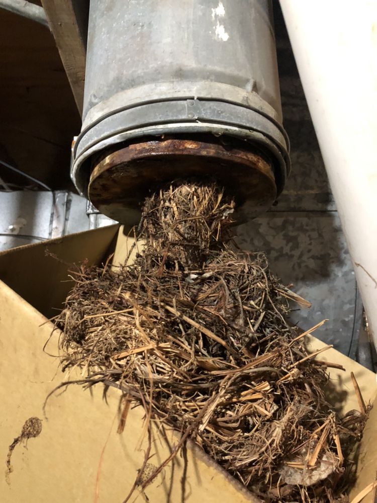 Slide of D & P Plumbing