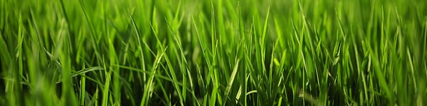 Downtown Self-Storage