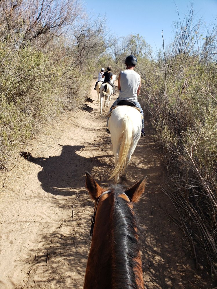 Desert Horse Adventures Logo