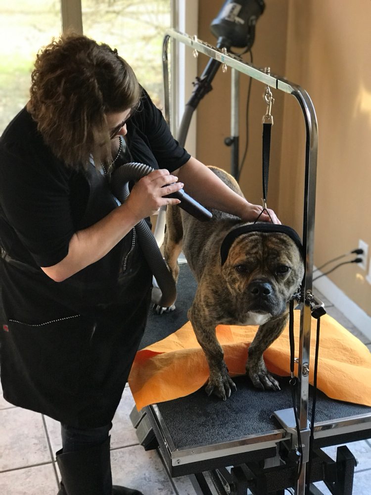 THE BARK HOUSE U DOIT DOG BATH 800 Ellington Dr, Lafayette