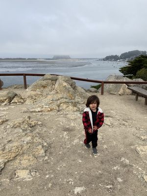 Morro Bay State Park by null