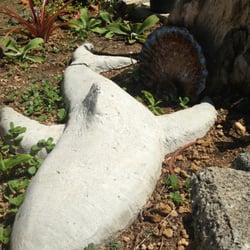 Cherie's Beachside Haircuts