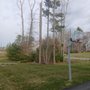 Andrade Tree Service