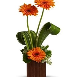 Valley Flowers