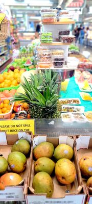 The Municipal Market by null