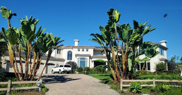 Lawn Maintenance - La Costa Tree Service & Maintenance has been serving San Diego County for over 18 years. We specialize in Tree Service, Irrigation, Landscaping, Hardscape, Tree Health and Artificial Turf. We are owner operated, Licensed, Insured and Bonded. Call us today for a free estimate. Lawn Maintenance - La Costa Tree Service & Maintenance has been serving San Diego County for over 18 years. We specialize in Tree Service, Irrigation, Landscaping, Hardscape, Tree Health and Artificial Turf. We are owner operated, Licensed, Insured and Bonded. Call us today for a free estimate.