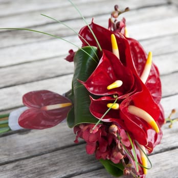 Spinning Web Florist - Florists Near Me - Honolulu, Hawaii Spinning Web Florist - Florists Near Me - Honolulu, Hawaii