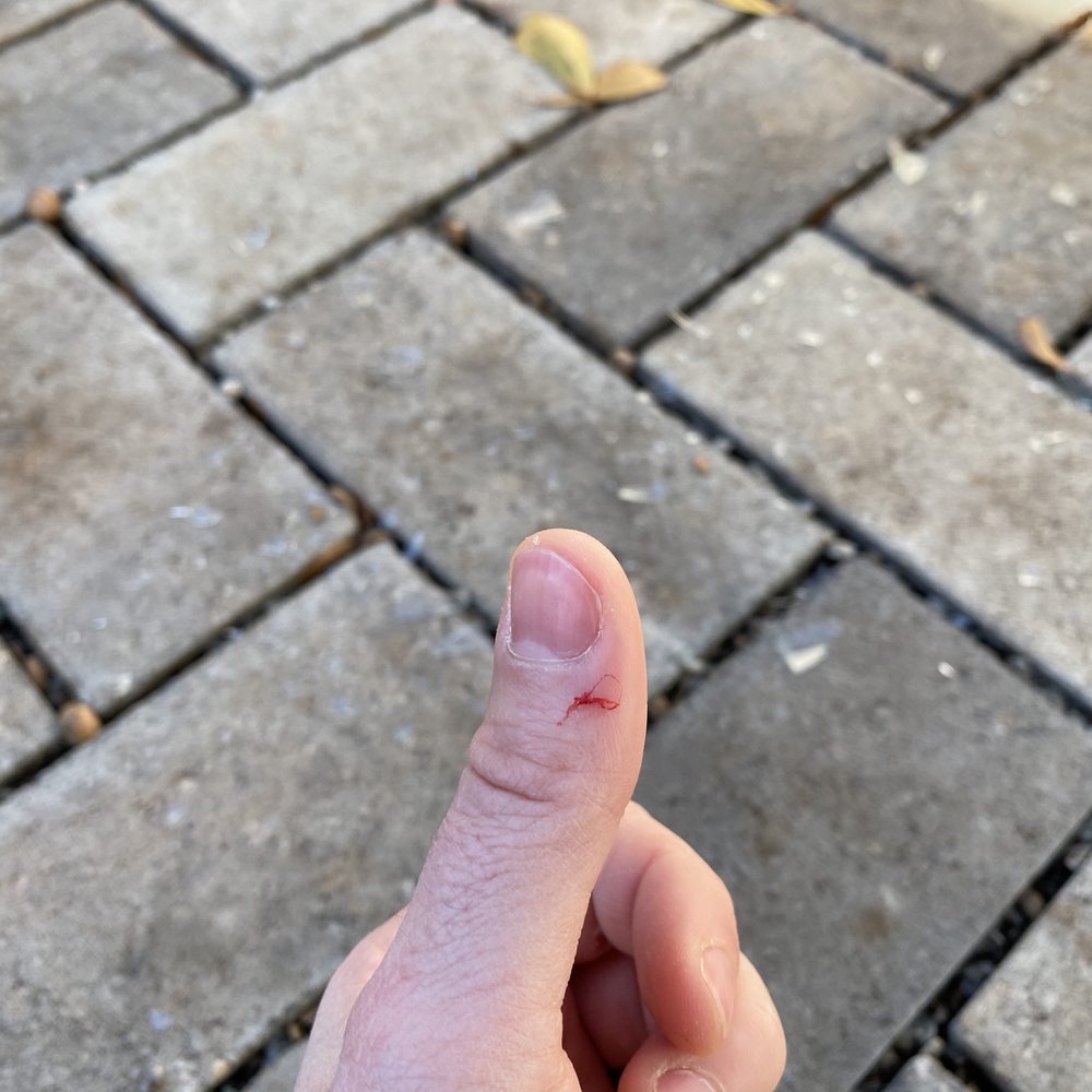 LeafFilter Gutter Protection - Picking up shards of glass left by Leaf Filter technician from knocking down our lights and not telling us. - Gutter Services Near Me - Hudson, Ohio