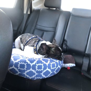 Bath Brush and Beyond - Dog bed, harness, dog toy - Pet Groomers Near Me - Albuquerque, New Mexico