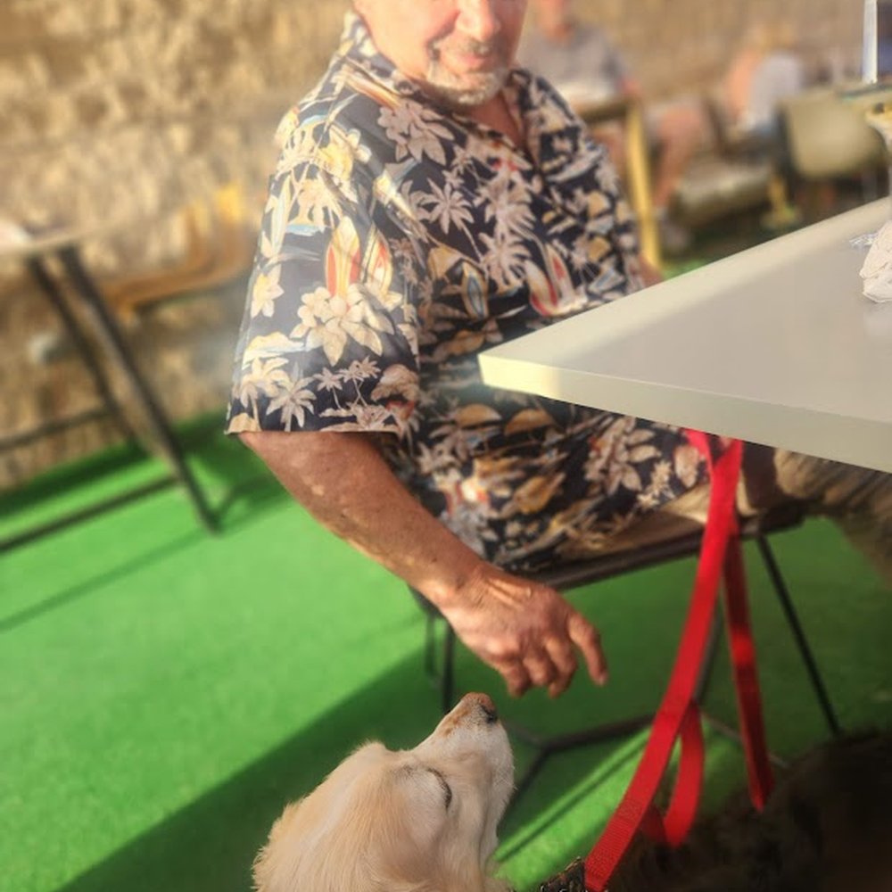 Loving Hands Veterinary Services - Veterinarians Near Me Loving Hands Veterinary Services - Veterinarians Near Me