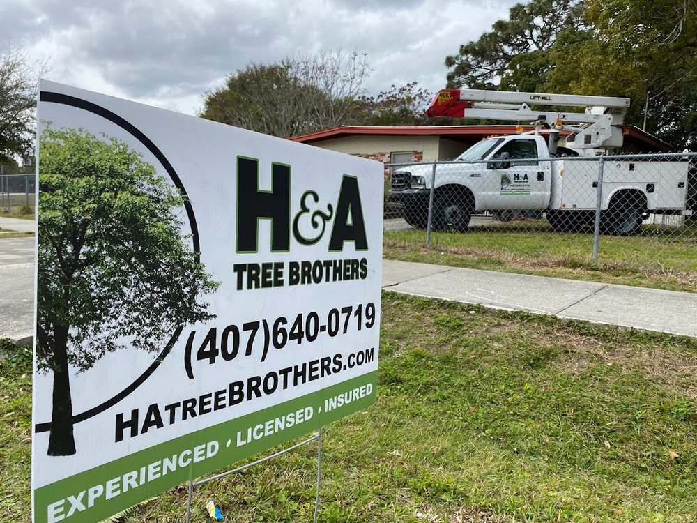 H&A Tree Brothers - tree service in Orlando, FL