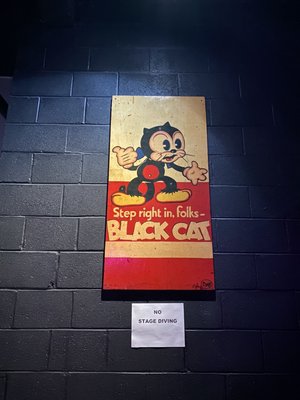 Black Cat by null