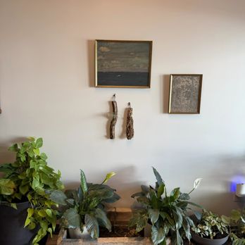 Honor Pet - Lobby fountain - Pet Cremation Services Near Me - Los Angeles, California Honor Pet - Lobby fountain - Pet Cremation Services Near Me - Los Angeles, California