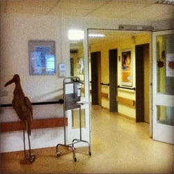 Maria Heimsuchung Caritas-Klinik Pankow