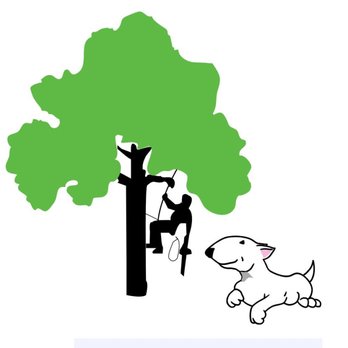 True Cut Tree Service - Tree Services Near Me - Gainesville, Florida True Cut Tree Service - Tree Services Near Me - Gainesville, Florida