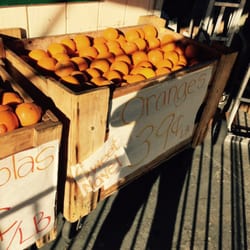 Leon Produce