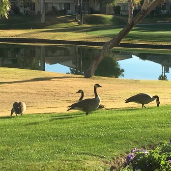 PGA West Stadium Course - Golf Near Me - La Quinta, California