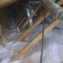 Photo of Attic Insulators