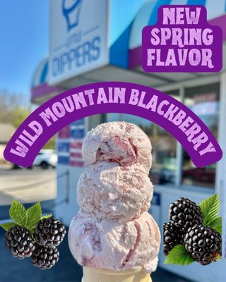 LITTLE DIPPER'S ICE CREAM - Updated October 2026 - 34 Reviews - 57